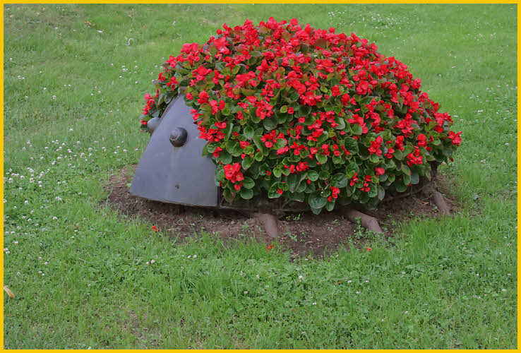 Lady Bug Flower Pot